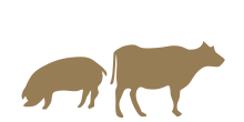 Vanessa Meats Stamp